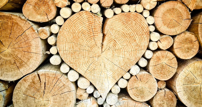 heart 1288420 1280 TheUjulala auf pixabay 800